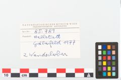 Foto von Keramikgefäß (NHMW-PRAE-085789)